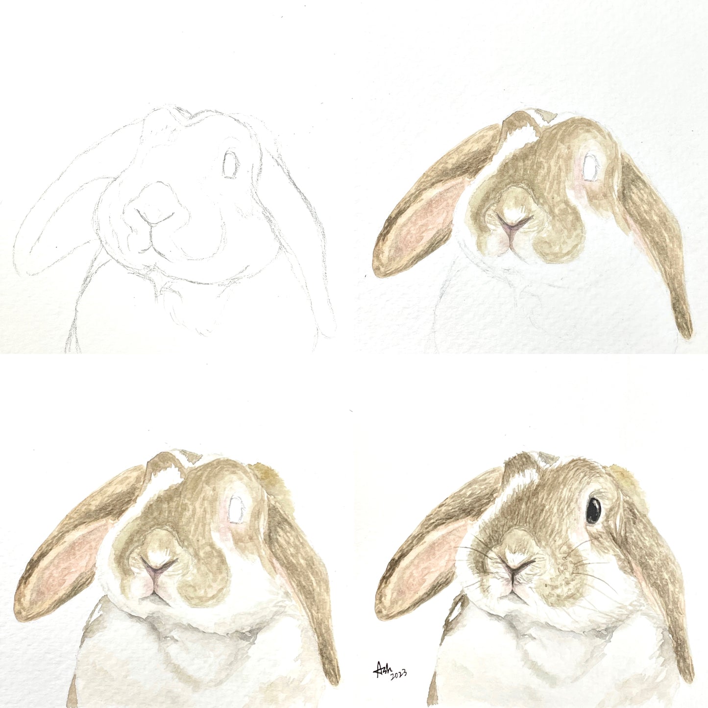 Pet Portrait - Watercolor Painting Class