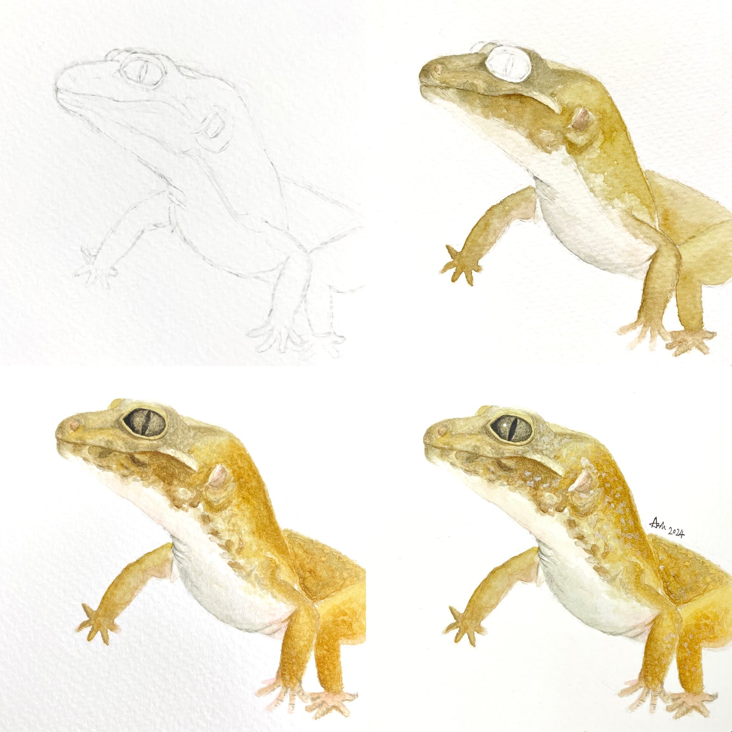 Pet Portrait - Watercolor Painting Class
