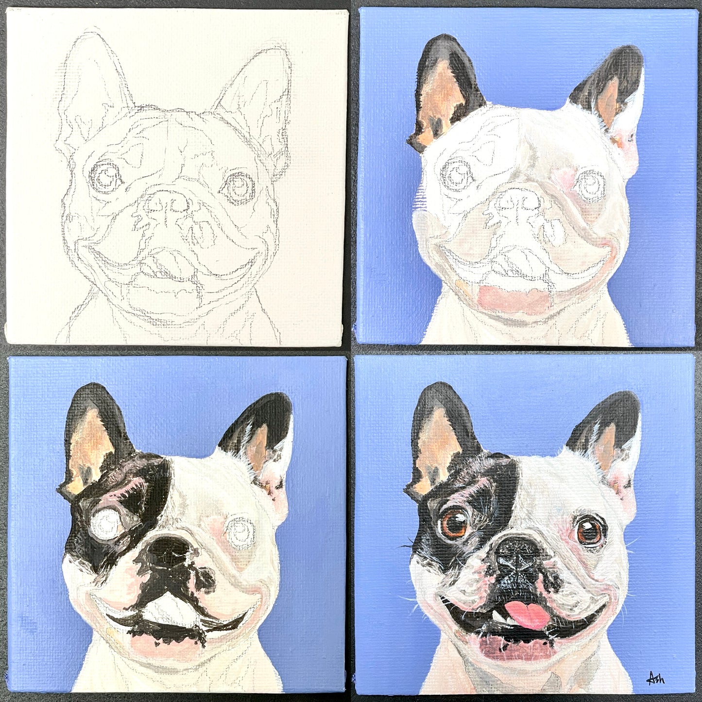 Pet Portrait - Acrylic Painting Class