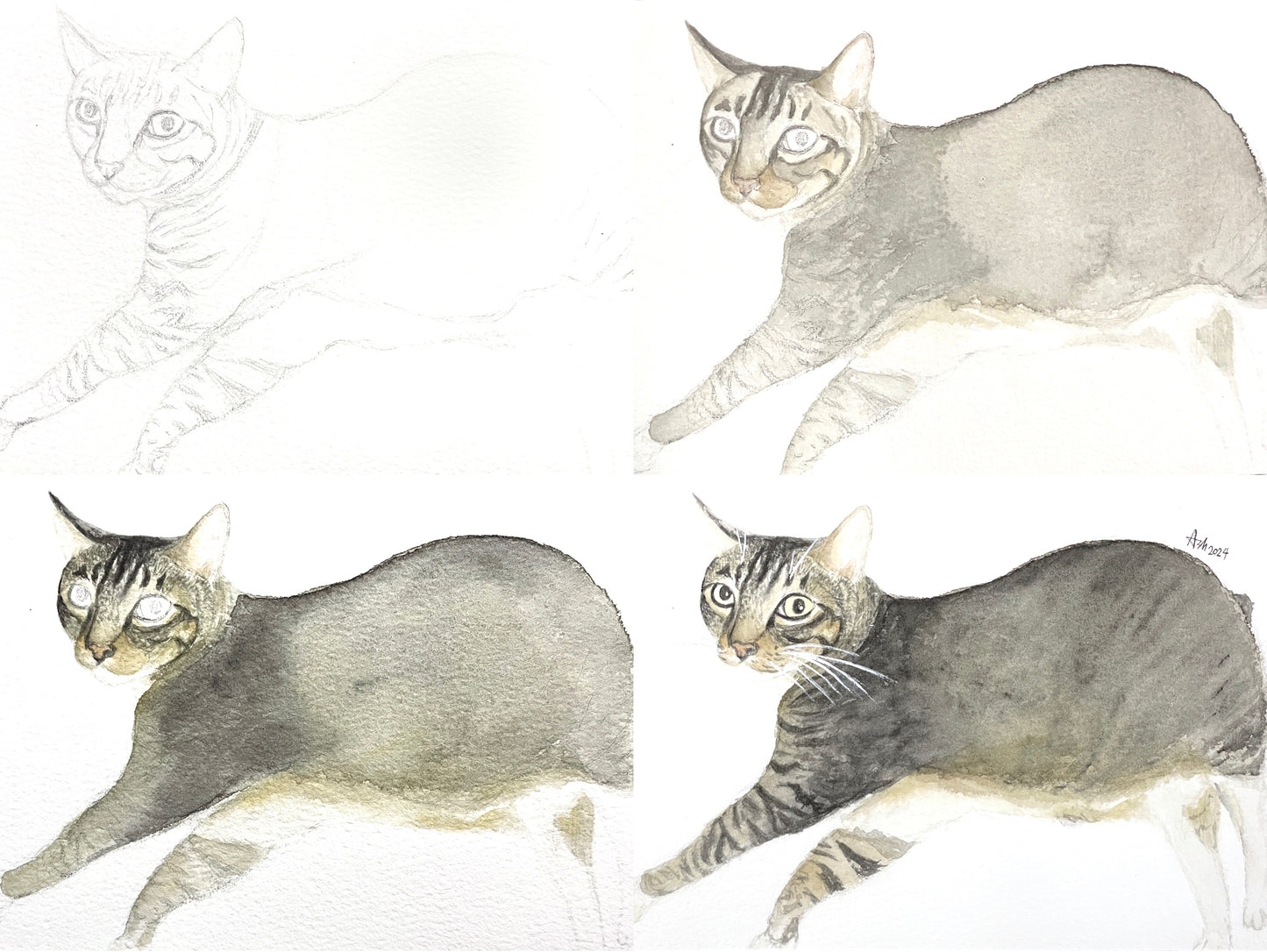 Pet Portrait - Watercolor Painting Class