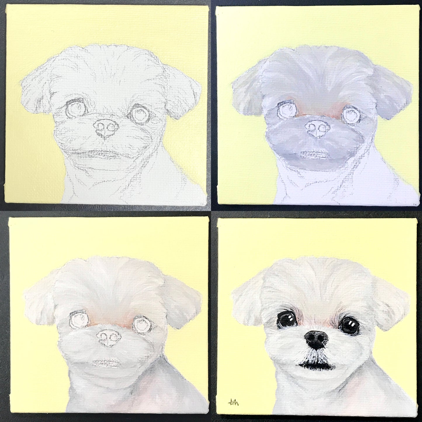 Pet Portrait - Acrylic Painting Class