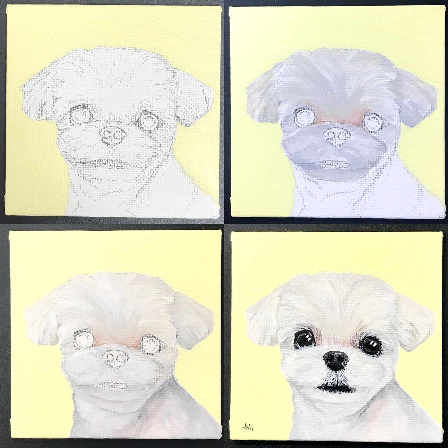 Pet Portrait - Acrylic Painting Class 寵物塑膠彩畫班