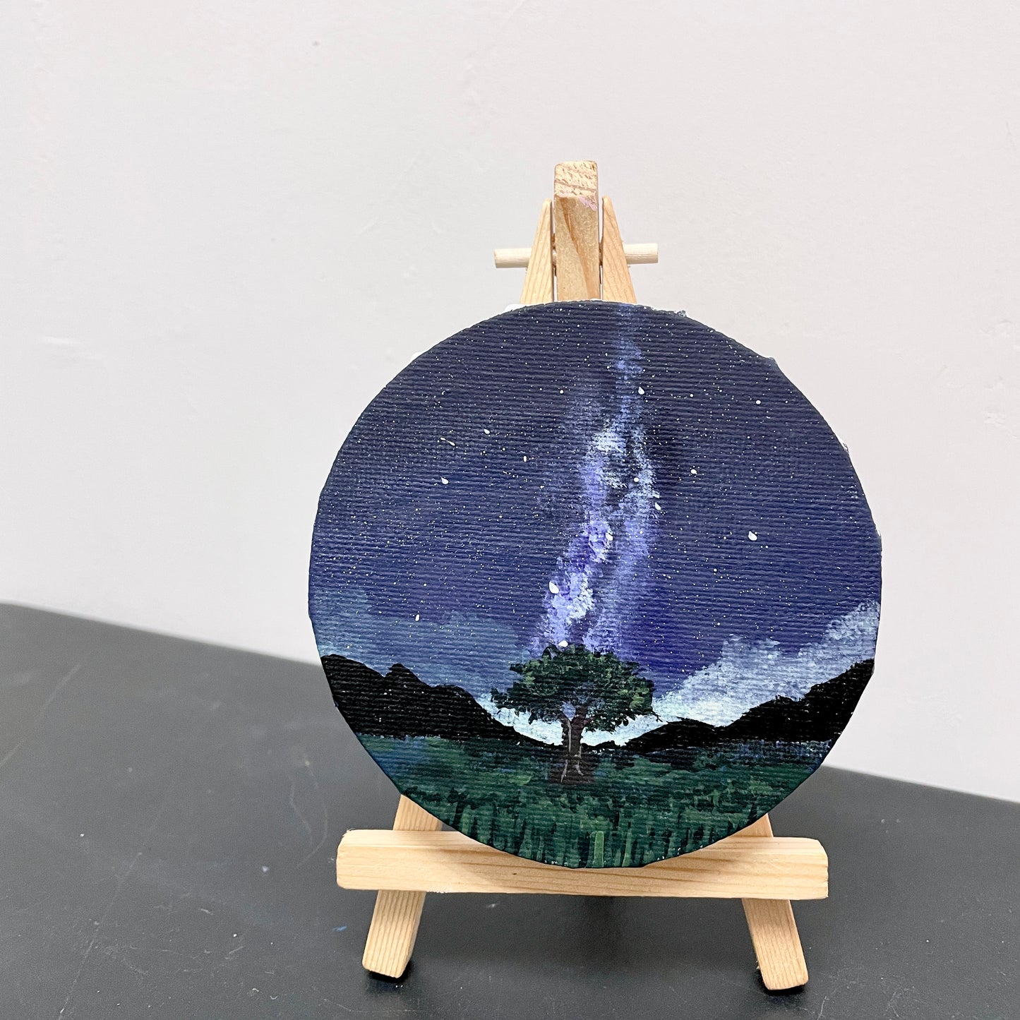 Mini Acrylic Painting Class