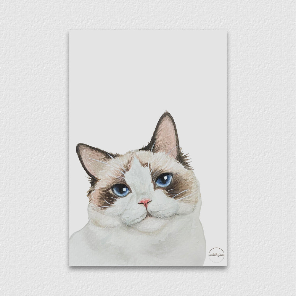 Watercolor Animal Postcard - Ragdoll cat