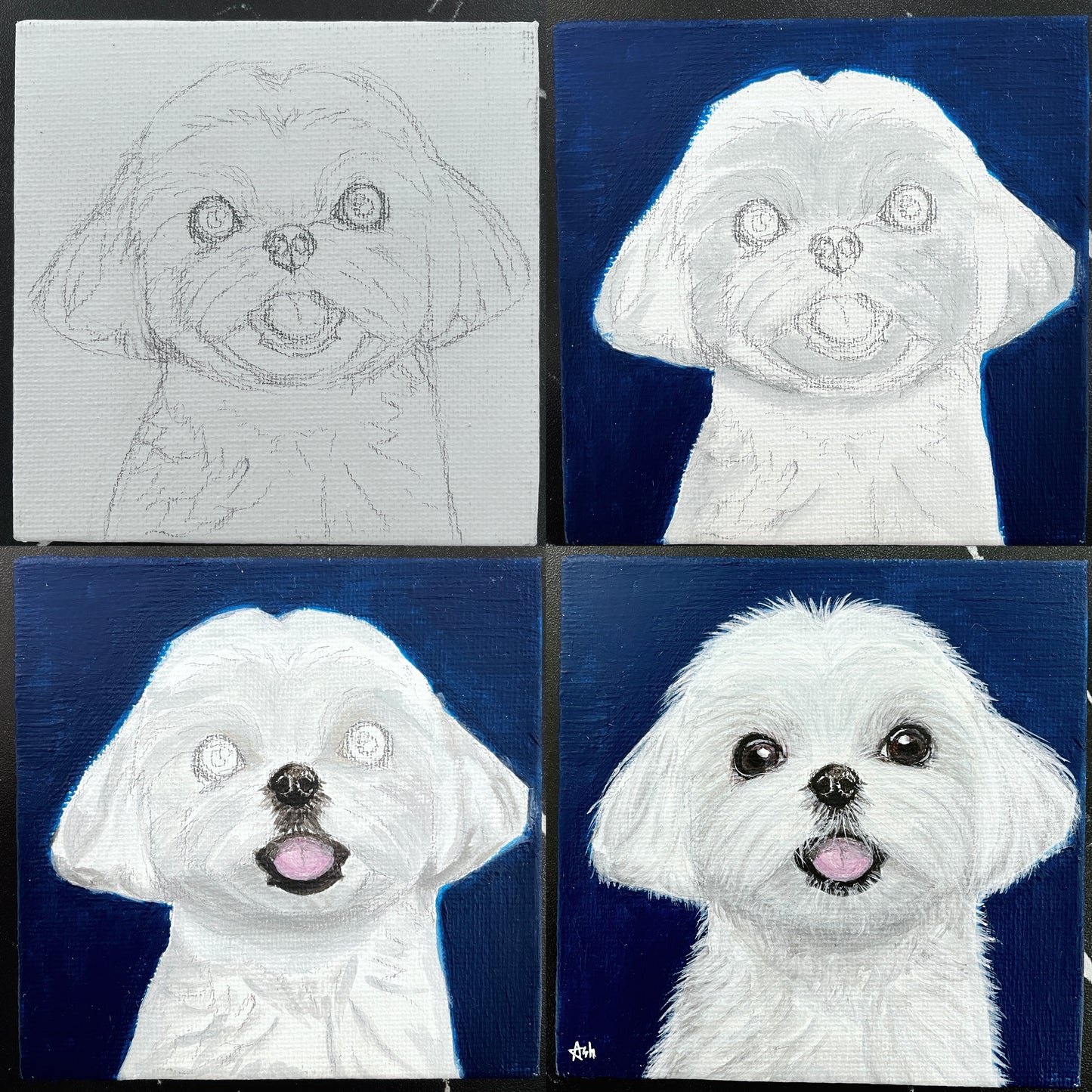 Pet Portrait - Acrylic Painting Class