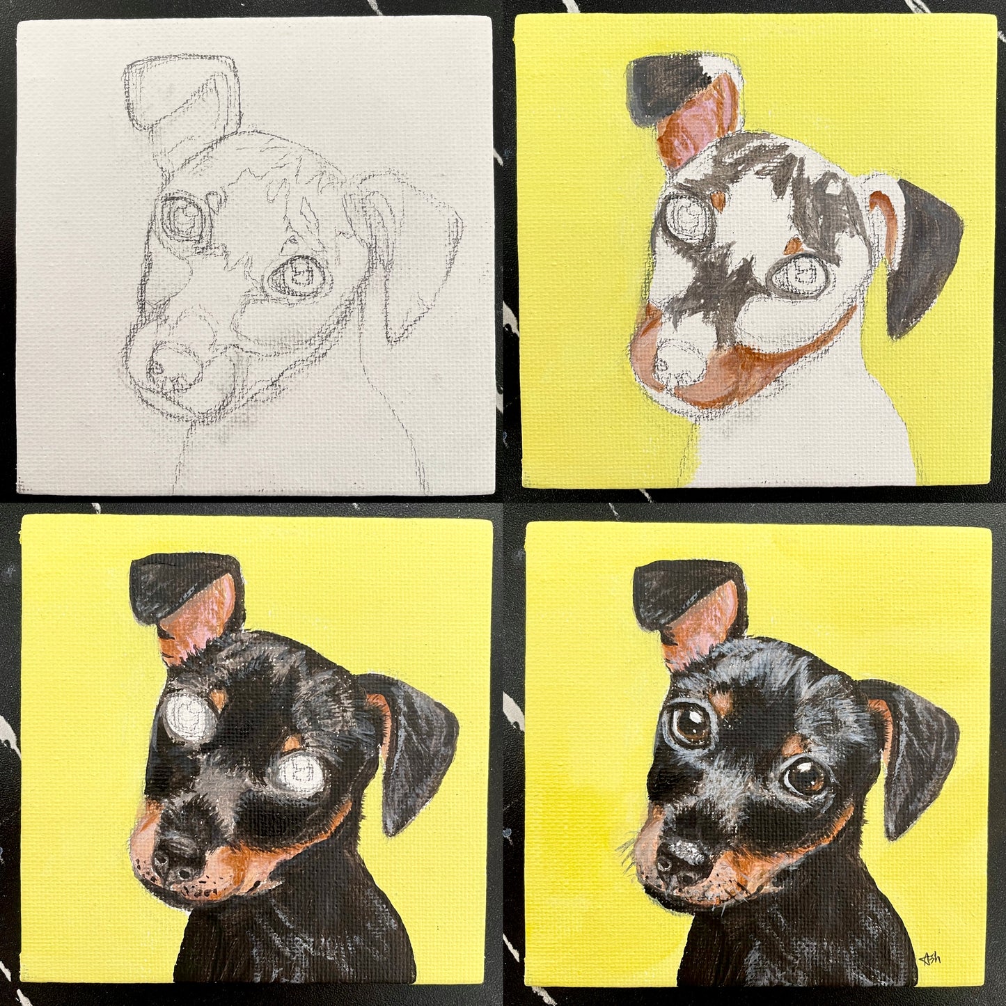 Pet Portrait - Acrylic Painting Class
