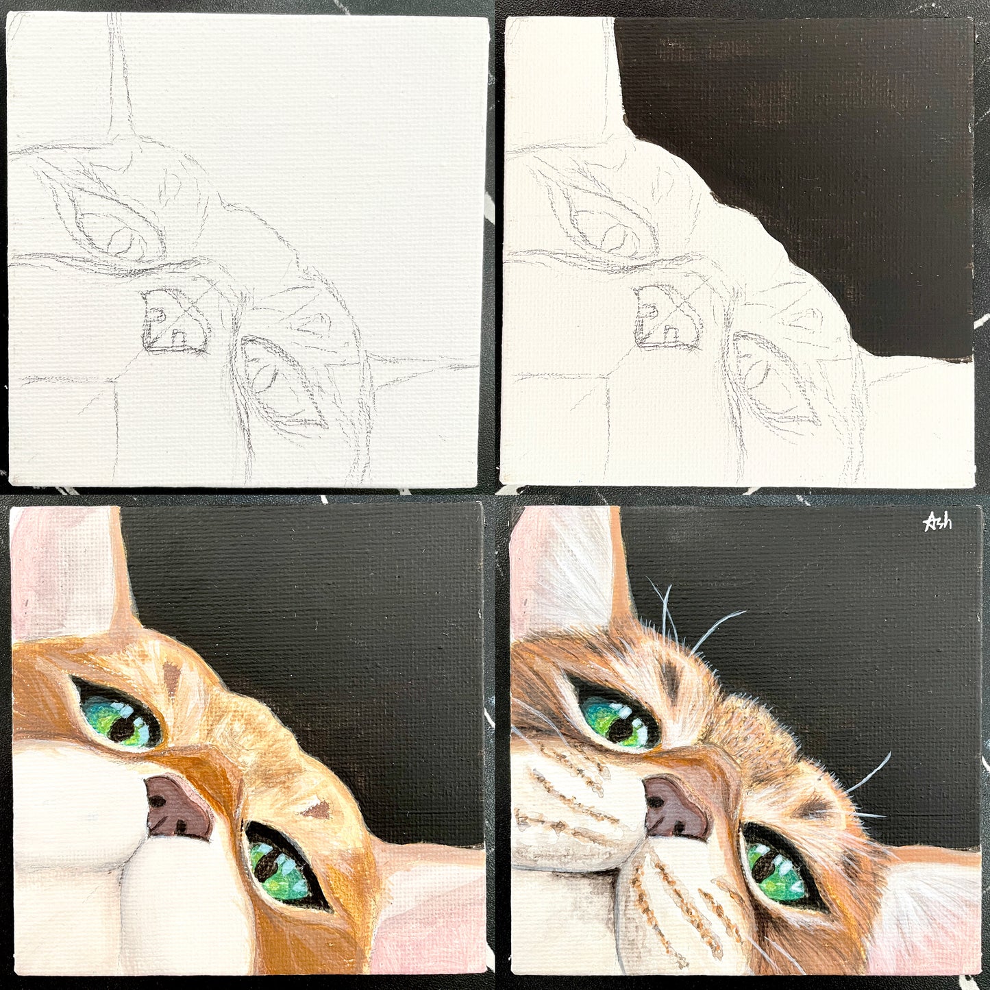 Pet Portrait - Acrylic Painting Class
