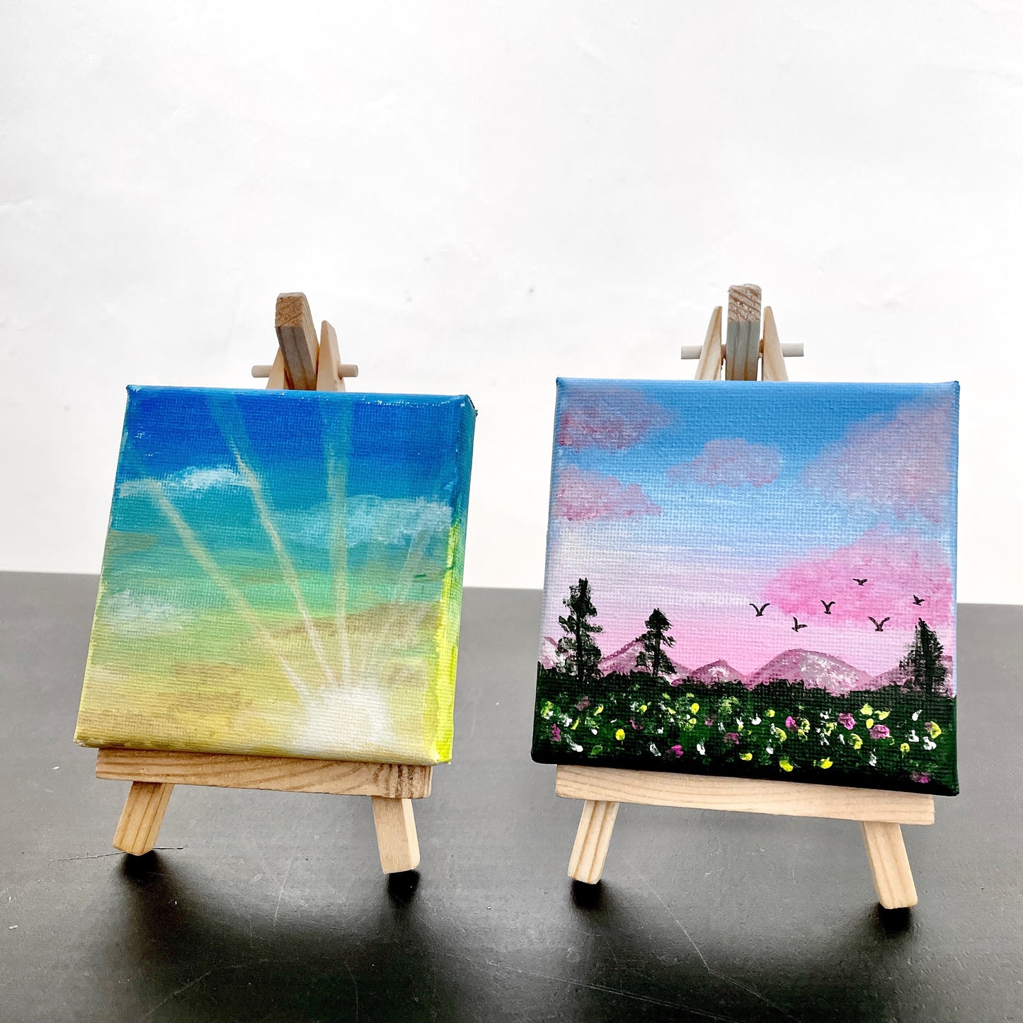 Mini Acrylic Painting Class