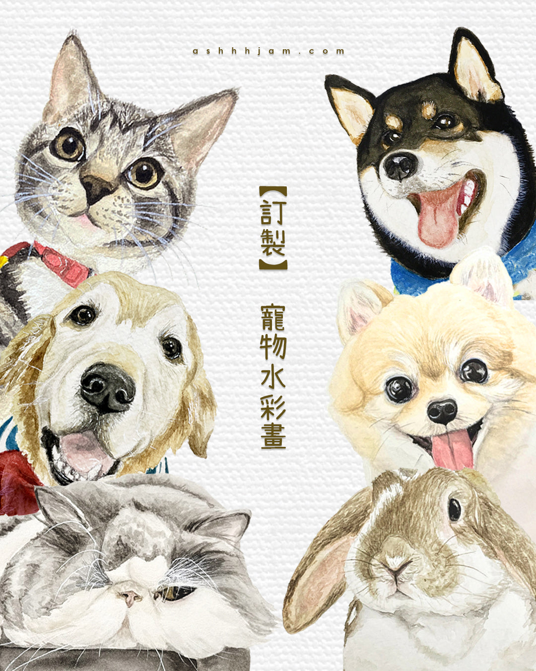 【訂製】寵物水彩畫